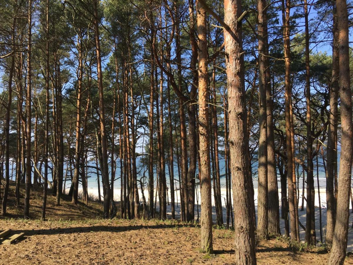 Apartamenty i Pokoje Magnolia Dźwirzyno Exteriér fotografie
